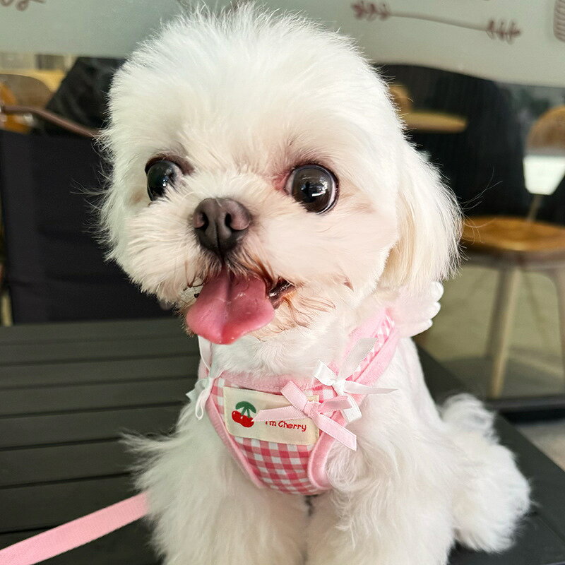 【よりどり2着で200円OFF/よりどり3着で300円OFF】犬 ハーネス リード 2点セット ...