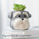 ★ 送料無料 沖縄・離島除く★ シュナウザー フェイスプランター かわいい 犬 顔型 植木鉢 ペン立て 雑貨 鉢植え 小物入れ ドッグ schnauzer わんこ ワンちゃん プレゼント 贈り物 引っ越し祝い 収納