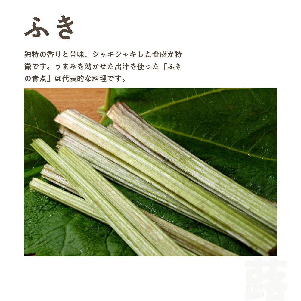 ふき 1,000g 秋田県産 天然 山菜 蕗 さんさい とれたて 【6月中旬頃出荷予定】