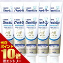 ライオン チェックアップ ルートケア 90g Check-Up rootcare 医薬部外品 × 10本歯科専売 チェックアップジェル う蝕 むし歯 歯の根 歯根 根面 無研磨 オーラルケア マウス 口腔ケア デンタルケア