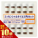 生活の木 エッセンシャルオイル 入門セットA アロマテラピー検定1級 2020年改訂版 対応アロマオイル アトマテラピー アロマセラピー 検定 精油 2020年改訂版対応 ネコポス対応商品