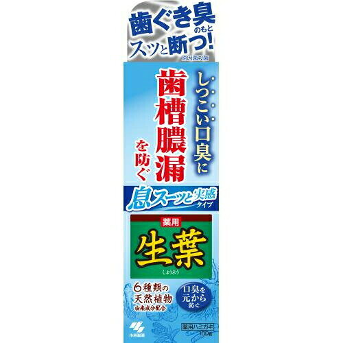 生葉I 息スーッと実感 100g 医薬部外品【ポイント5倍★お買い物マラソン】