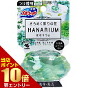 ポイント10倍★要エントリーブルーレット はなリウム つけ替用 ピュアブルーム 70mL