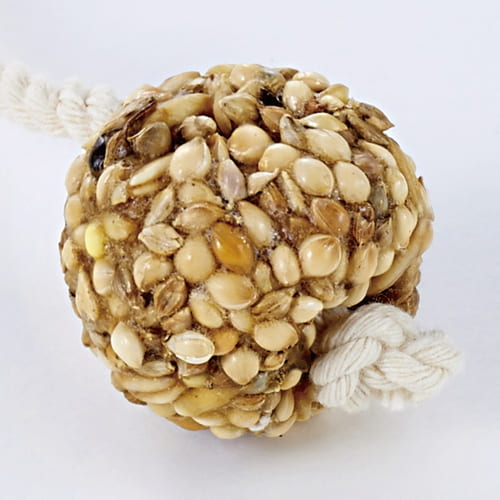 ��Ź�����ʥݥ����10�ܡ����ץ���ȥ꡼���󥳤Υ��ꥢ��ܡ��� S 6������Ļ Ļ ���� ������� �ȥ� ���٤� ���� ������ ž���� �������� �ܡ���