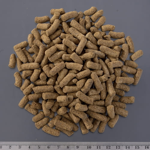 RepDeli トカゲブレンドフード 200g爬虫類 両生類 フード 昆虫食 アメリカミズアブ...