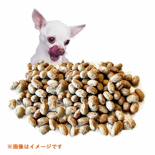 京 ふりどら納豆 40gBon・rupa ボン...の紹介画像2
