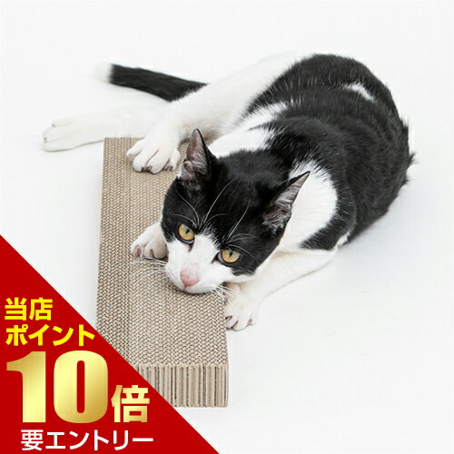 ＼店内全品ポイント10倍／※要エントリーHappyDays ゴミが出にくいつめとぎ替え ペットプロ ハッピーデ..