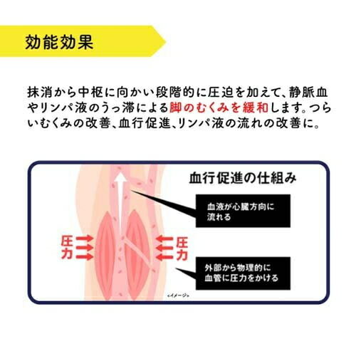 ��Ź�����ʥݥ����10�ܡ����ץ���ȥ꡼��ǥ�����å� ���ѥ��� ���� �尵 ���å��� ���� M �य�ߥ�����ǥ�����å� �尵 �եåȥ������� �य�ߥ��� ���̰��ŵ���