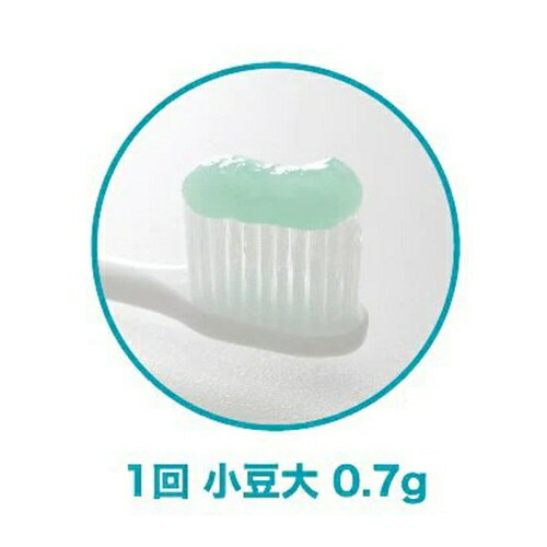 ��Ź�����ʥݥ����10�ܡ����ץ���ȥ꡼�饯��å���EX ���ѥϥߥ��������� 80g ���������ʻ��᤭ �Ϥߤ���