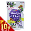 ■5/1限定 全品P2倍■エントリーで最大5倍!!ブルーベリー&ルテイン 300mg × 120粒ブルーベリー ルテイン サプリ 目 サプリメント アサイー カシス ビタミンA 健康食品 日本 日本健康食品[ネコポス対応商品]