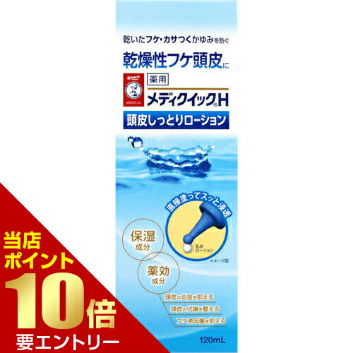 メンソレータム メディクイックH 頭皮しっとりローション 120mL 医薬部外品