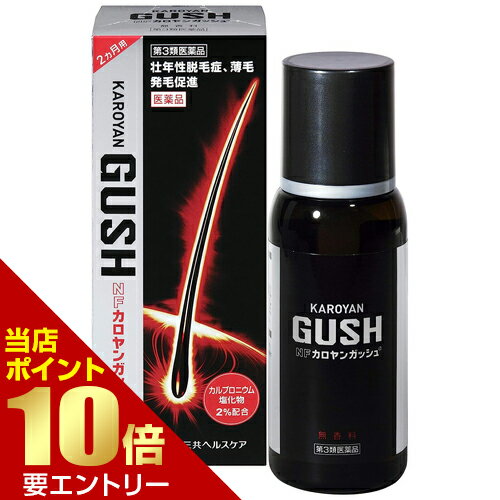 ＼店内全品ポイント10倍／※要エントリー【第3類医薬品】NFカロヤンガッシュ 無香料240mLカロヤン[海外出荷NG]