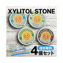 定番4点セット キシリトールストーン XYLITOL STONEキシリトール 100％ オリジナル キャンディ XYLITOL STONE キシリ タブレット ブロック 飴 アメ 子供 虫歯 爽快感 歯磨き ノンシュガー