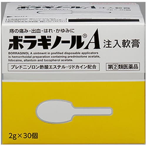 【第(2)類医薬品】ボラギノールA注入軟膏 2g×30個 指定第2類医薬品