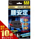 ポイント10倍★要エントリーケアガード 腰安定 LLサイズ腰用 サポーター(4)