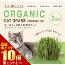 店内ポイント10倍★お買い物マラソン※要エントリーオーガニックねこ草栽培キットオーガニック猫草 栽培キット 初心者向け 室内用