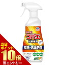 店内ポイント10倍★お買い物マラソン※要エントリーアースコバエ スプレー キッチン用 300g アース製薬株式会社