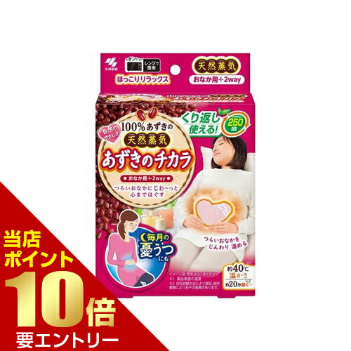 ＼店内全品ポイント10倍／※要エントリー小林製薬 あずきのチカラ おなか用 お腹ホットパック 蒸気温熱のサムネイル