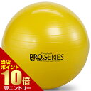 セラバンド エクササイズボール 直径45cm イエローTHERABAND トレーニングバンド 筋トレ インナーマッスル(4)