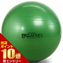 店内ポイント10倍★お買い物マラソン※要エントリーセラバンド エクササイズボール 直径65cm グリーンTHERABAND トレーニングバンド 筋トレ インナーマッスル