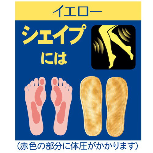 ��Ź�����ʥݥ����10�ܡ����ץ���ȥ꡼���������򹯥롼�ॵ����� �դߤä� ���������������� �� �롼��