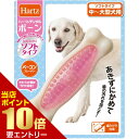 \店内全品ポイント10倍/※要エントリーハーツ デンタル ボーン ソフト 中〜大型犬用 1本入