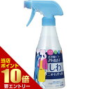 \店内ポイント10倍/※要エントリーお洋服のスタイルガード しわもニオイもすっきりスプレー 300mL
