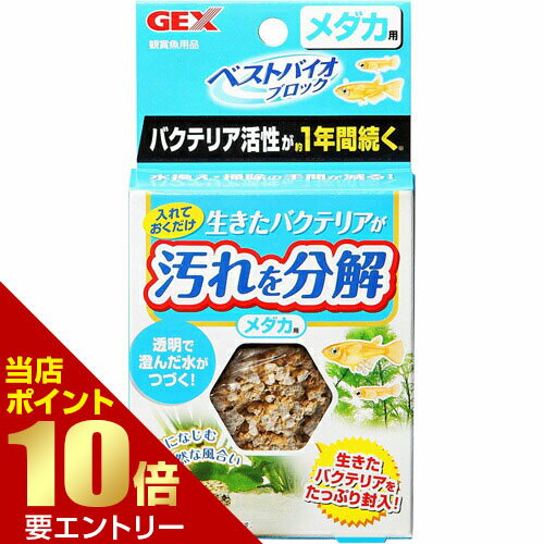＼店内全品ポイント10倍／※要エントリーベストバイオブロック メダカ 1コ入