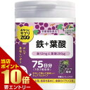 ポイント10倍★要エントリーおやつにサプリZOO 鉄+葉酸 150粒