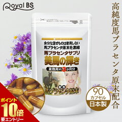 https://thumbnail.image.rakuten.co.jp/@0_mall/jnl/cabinet/prbsimg000/rbs09103.jpg