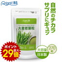 \店内ポイント10倍/※要エントリー大麦若葉粒 270粒送料無料 業務用 大容量 Royal BS サプリ サプリメント大麦若葉 野菜サプリメント 野菜 栄養補給 野菜不足 生活 青汁 苦手な方に お徳用 健康 美容 日本製