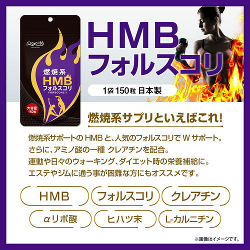燃焼系×筋活応援 HMB＆BCAA 福袋RoyalBS 公式 サプリ HMBフォルスコリ アミノ酸BCAA タブレット 燃焼系 健康 ダイエット 栄養補助食品 日本製 大容量 送料無料店内全品ポイント10倍※要エントリー jnl-11013122 いい肌発信!美・サイエンス サンプル画像3