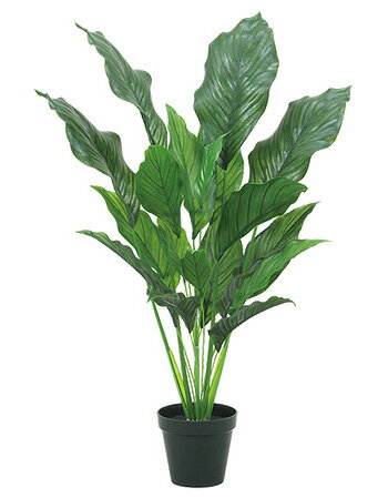 【ツリー・観葉】85cmストレリチアツリー