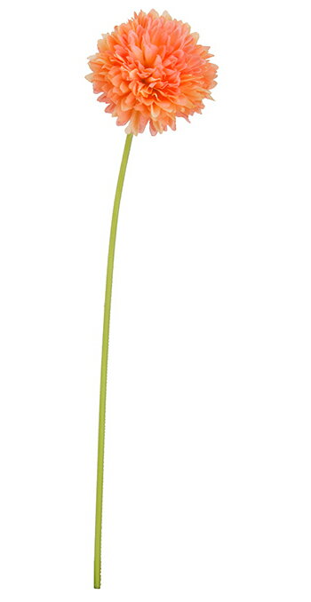 ��¤�֡��ޥ�ۥݥ�ݥ�ޥࡦ�������