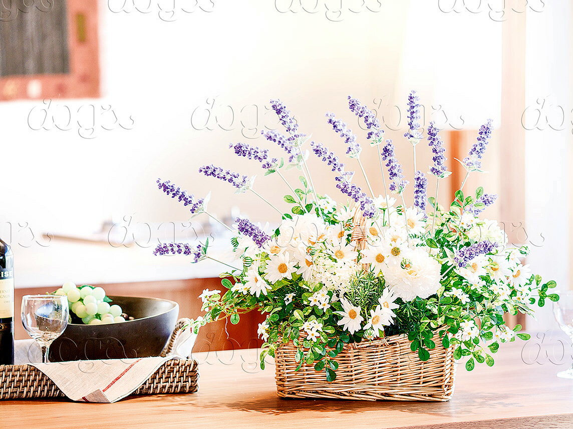 ��¤�� ���Ƥ�¤�� ����٥�����ۥ�٥�������ץ쥤��BC�ա�