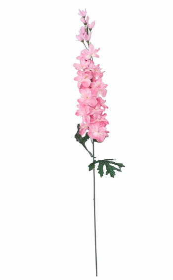 ��¤�֡��դ�¤�֡��ǥ�ե��˥奦��ۥǥ�ե��˥奦�ࡦ�ԥ�