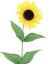 【造花・ひまわり・向日葵】ヒマワリ