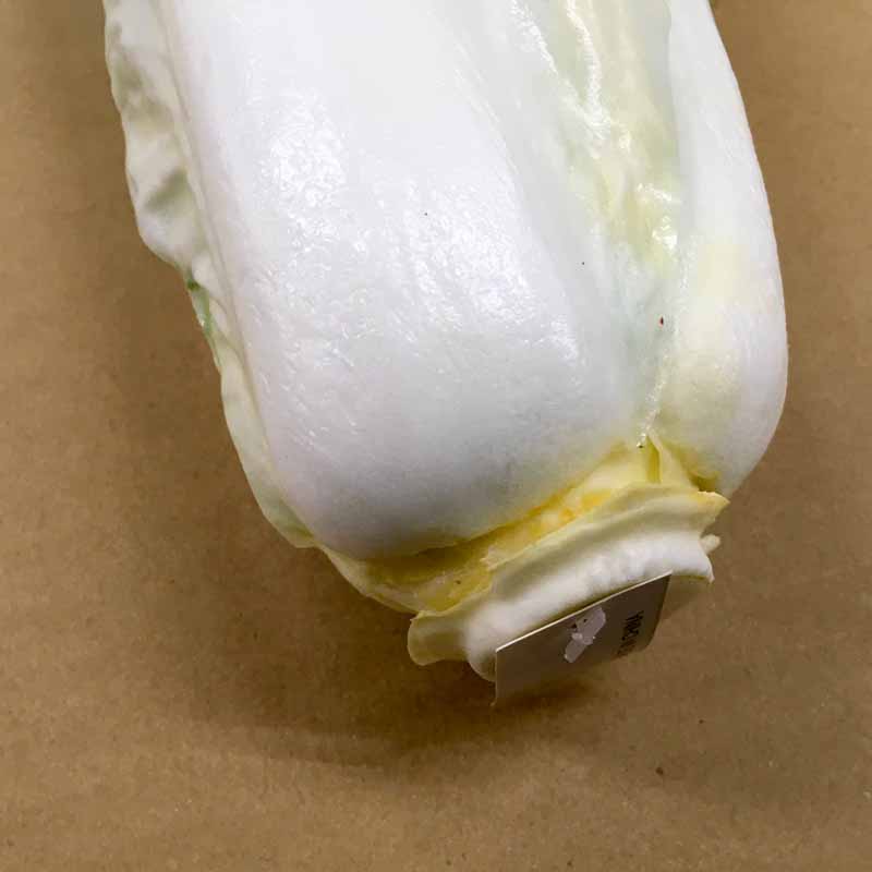 【食品サンプル・果物・野菜・フルーツ・ベジタブル】白菜(ウレタン)　フェイクフード　ディスプレイ
