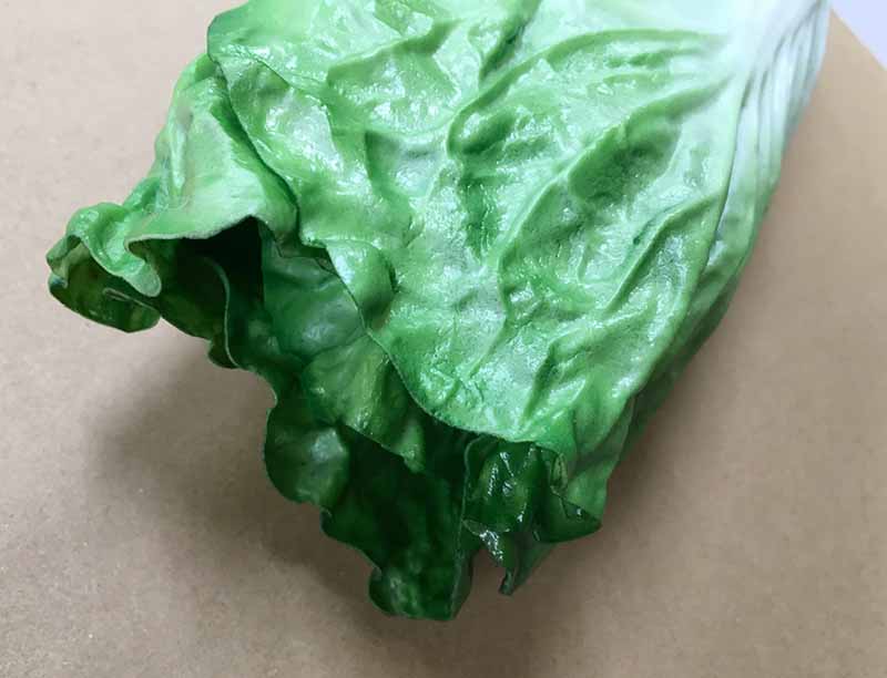 【食品サンプル・果物・野菜・フルーツ・ベジタブル】白菜(ウレタン)　フェイクフード　ディスプレイ