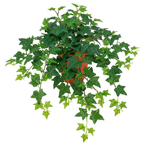 ��¤�֡��꡼�աۥե��������ӡ��֥å����BC�ա�