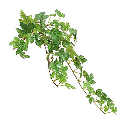 【造花・リーフ】ミニニューアイビーバイン（S）・グリーン