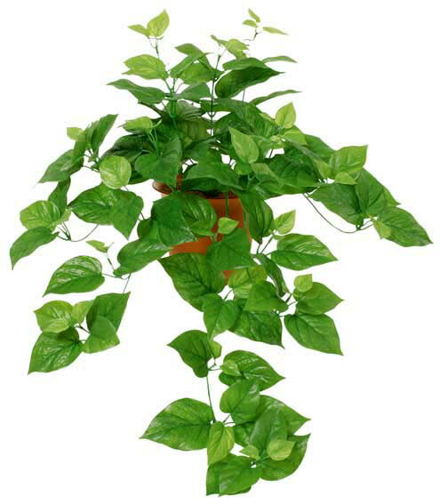 ��¤�֡��꡼�աۥ��ץ�󥰥ݥȥ��֥å���