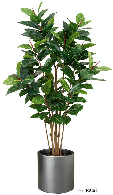 【ツリー・観葉】150cmゴムの木（M）