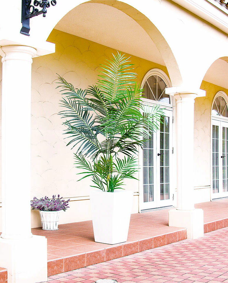 �ڥĥ꡼�����ա�180cm���쥫�ѡ���ĥ꡼