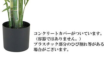 【ツリー・観葉】180cmアレカパームツリーの紹介画像2