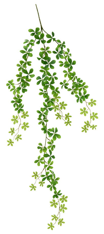 ��¤�֡��꡼�աۥե�å��奷�奬���ѥ���Х����BC�ա�