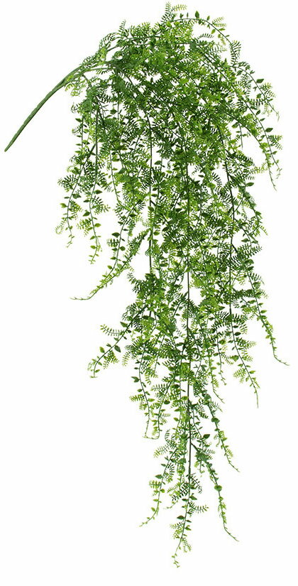 ��¤�֡��꡼�աۥե�å��她���ƥ��å���ե�����Х���ʥץ饹���å��ˡ����꡼��