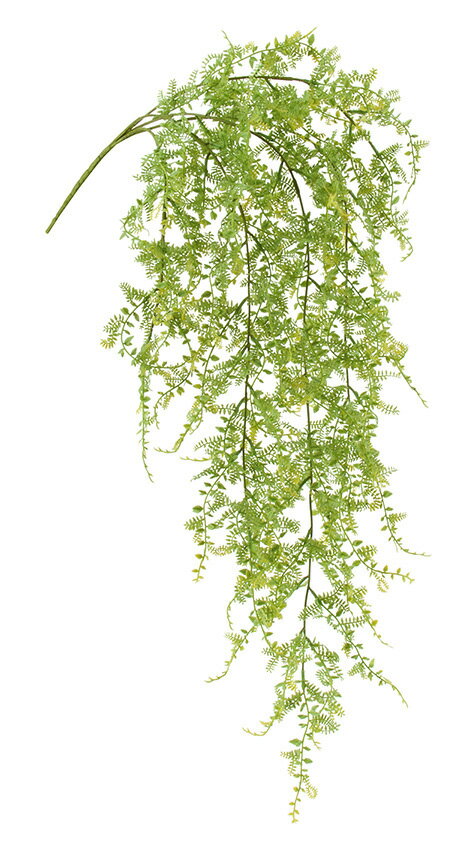 ��¤�֡��꡼�աۥե�å��她���ƥ��å���ե�����Х���ʥץ饹���å��ˡ��饤�ȥ��꡼��