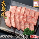 送料無料 広島牛 ロース 焼肉 300g 約2人用 | 黒毛和牛 和牛 A5 A4 国産牛肉 広島産 焼き肉 バーベキュー ギフト 誕生日プレゼント 内祝い 出産祝い お返し お祝い お花見 母の日