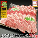 送料無料 広島産 焼肉セット 700g［ 広島牛 カルビ モモ 400g/ 瀬戸もみじ 豚 バラ 300g］(約3〜4人用) | 黒毛和牛 和牛 A5 A4 国産牛肉 ブランド豚 国産豚肉 焼肉 焼き肉 BBQ ギフト 誕生日 内祝い お祝い お年賀 成人お祝い